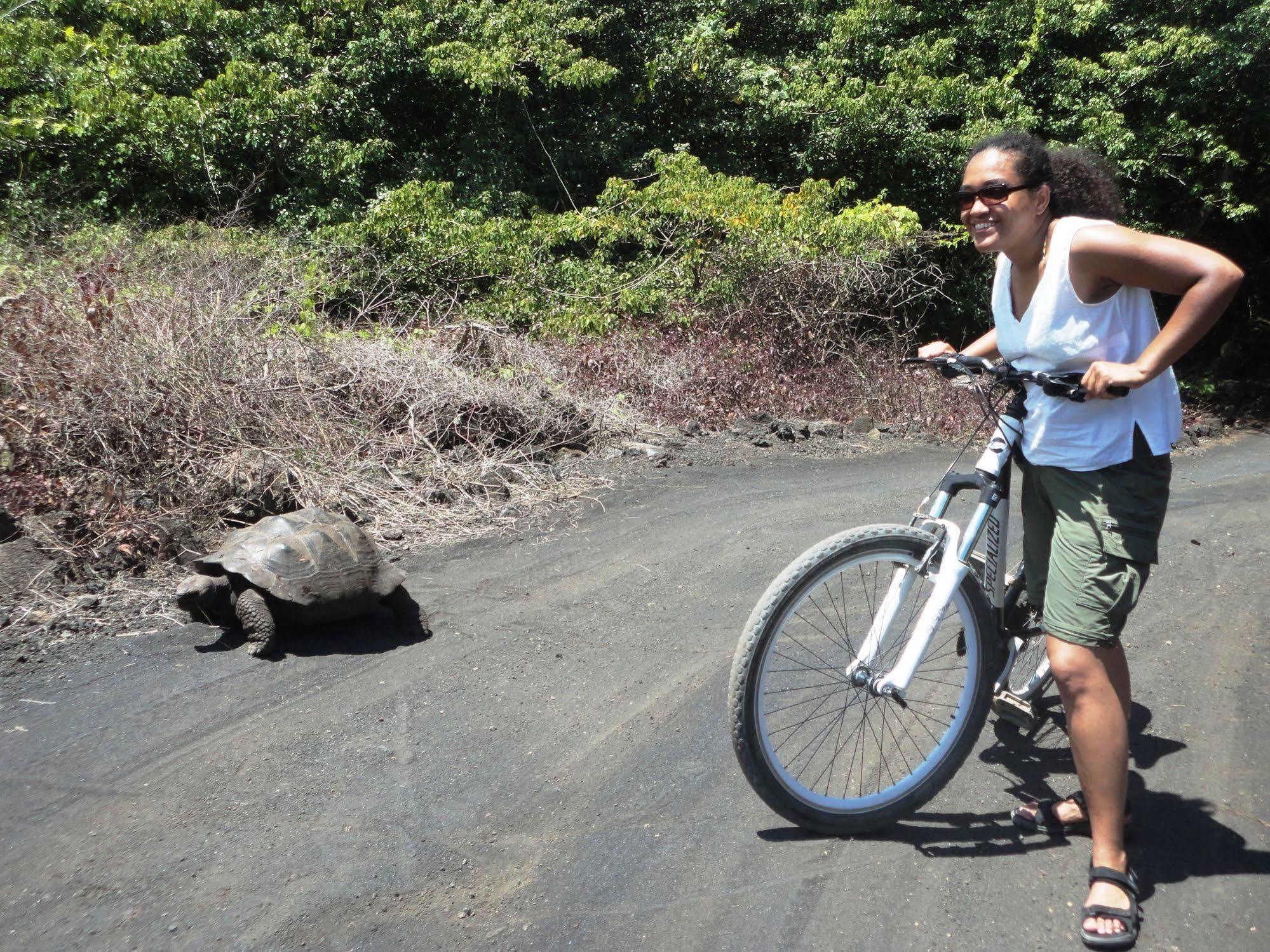 Iguana Crossing Boutique Hotel Puerto Villamil Esterno foto